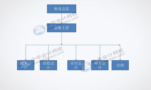 餐饮企业对出纳有什么具体要求