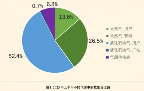 可燃气体预校准模块fsm 19t 02助力餐饮业用气安全