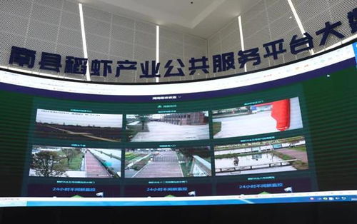 罗讯专题调研稻虾产业发展