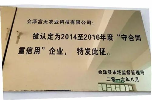 瞧 巧手在民间 会泽荞疙瘩谁最强
