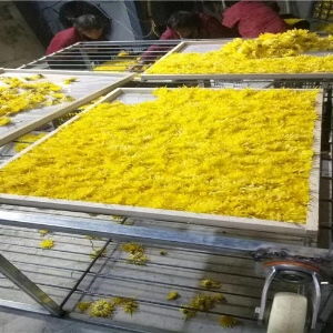 北京与广州餐饮企业管理设备价格、型号及图片概览