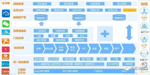 数据化运营 餐饮企业管理的新引擎